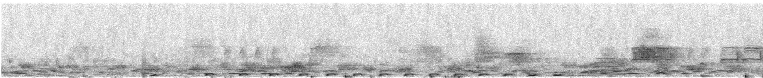 Sülün Kukalı [phasianinus grubu] - ML610520269