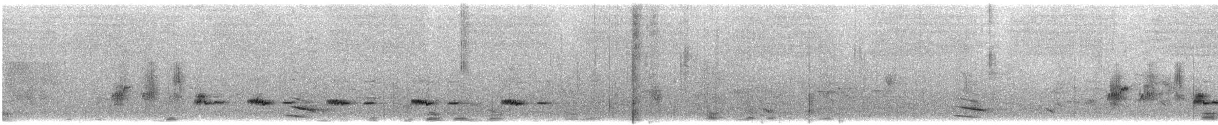 svarthakehonningeter (laetior) (gyllenrygghonningeter) - ML610520422