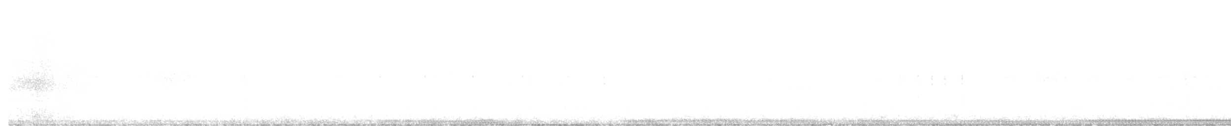 sovka statná - ML610522711