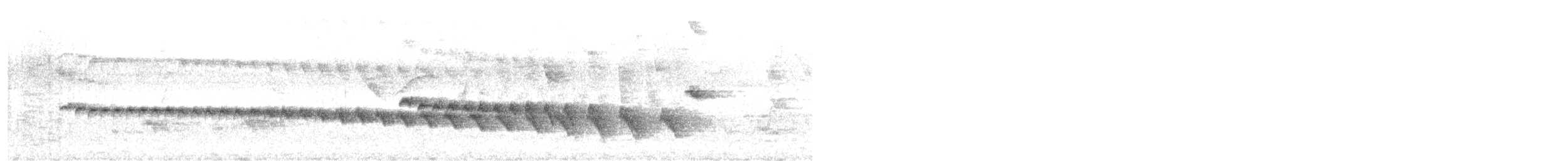 Grauband-Ameisenvogel - ML610527471