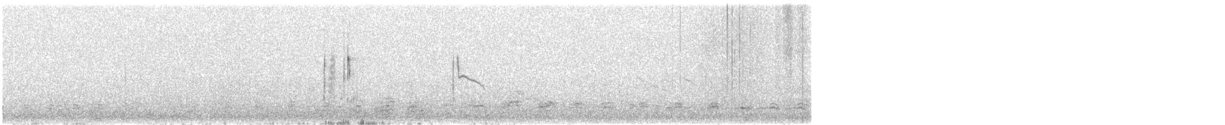 Spectacled Tyrant - ML610537239