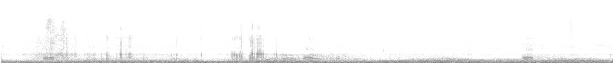 Neotropic Cormorant - ML610538293