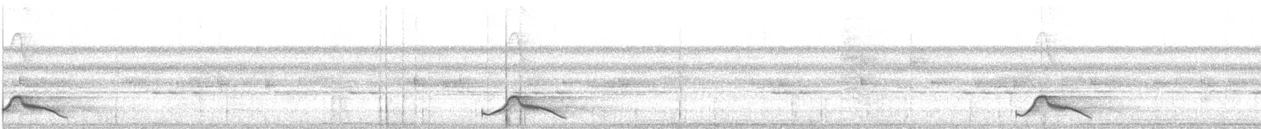 Pauraquenachtschwalbe - ML610539284