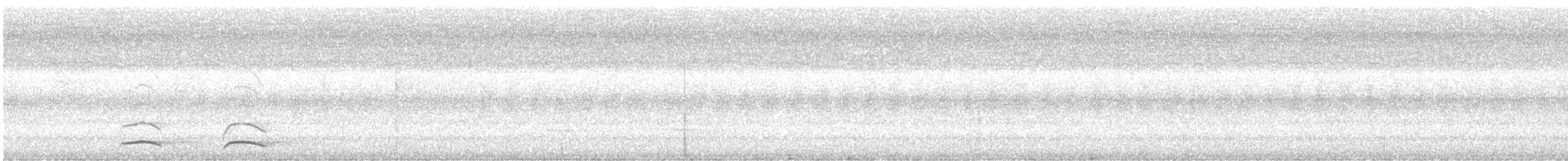 Kuzeyli Kara Gerdanlı Trogon - ML610541433