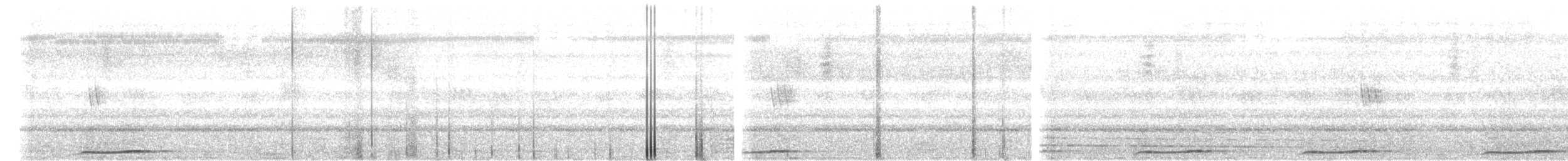 Brown Boobook - ML610543972