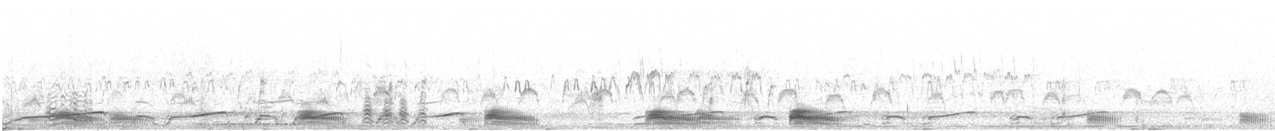 Plongeon arctique - ML610544327