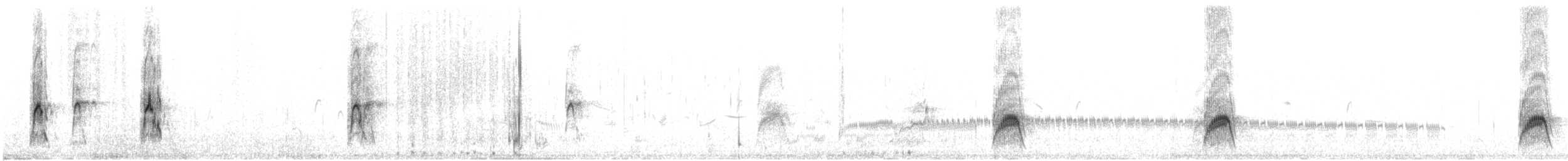 Red Phalarope - ML610544339