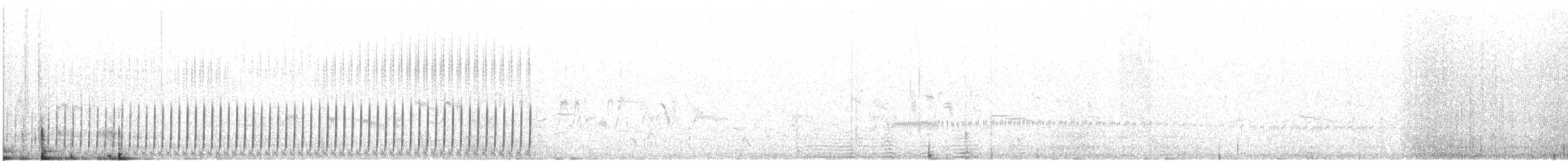 Txirri buztanzorrotza - ML610544422