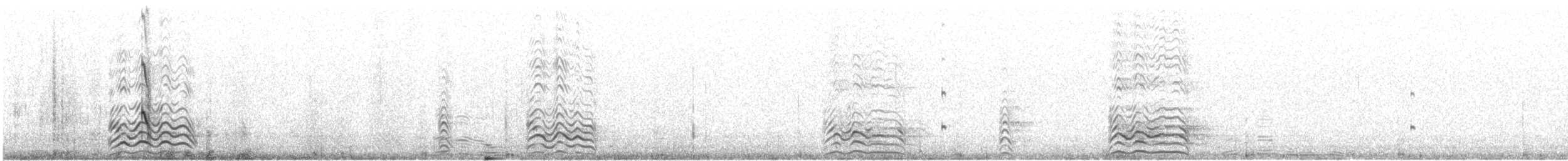 Arctic Tern - ML610544591