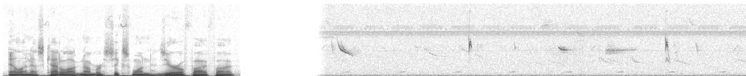 Red-breasted Meadowlark - ML61055