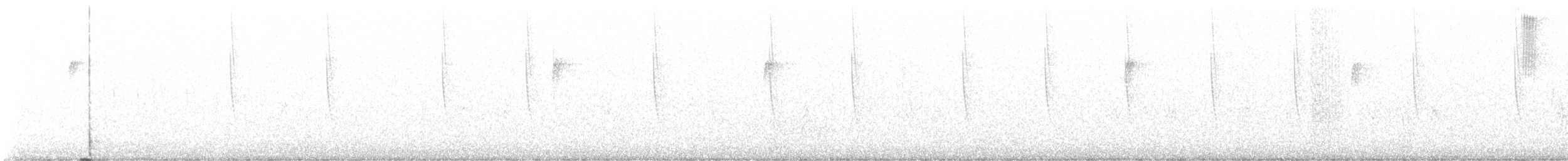 Широкохвостый колибри - ML610554356