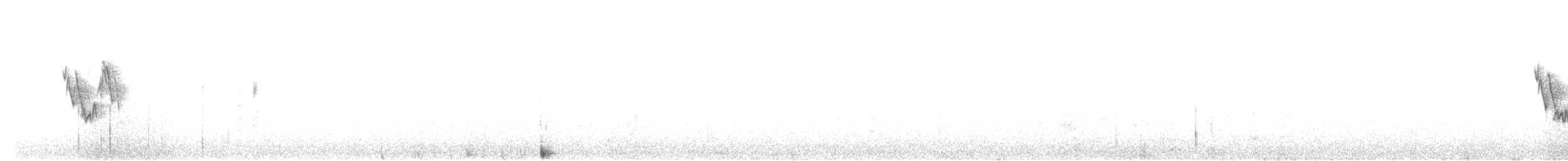 Хөх цэгцгий - ML610561095