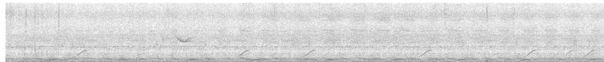 Spot-tailed Nightjar - ML610567506