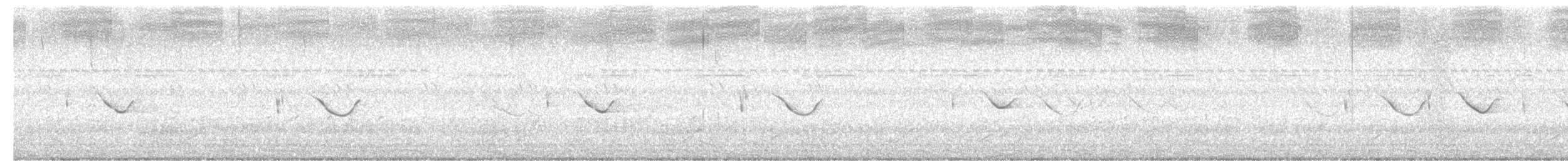Spot-tailed Nightjar - ML610567539