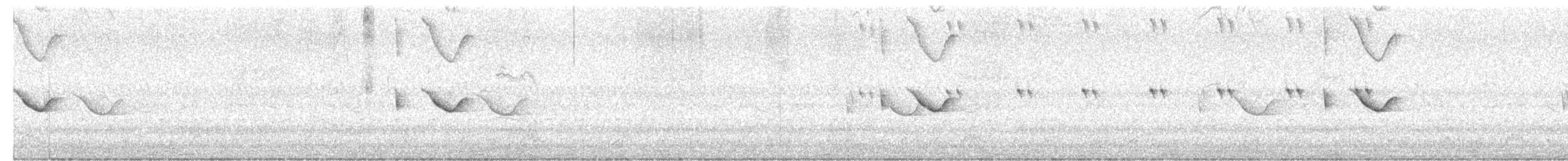 Spot-tailed Nightjar - ML610567560