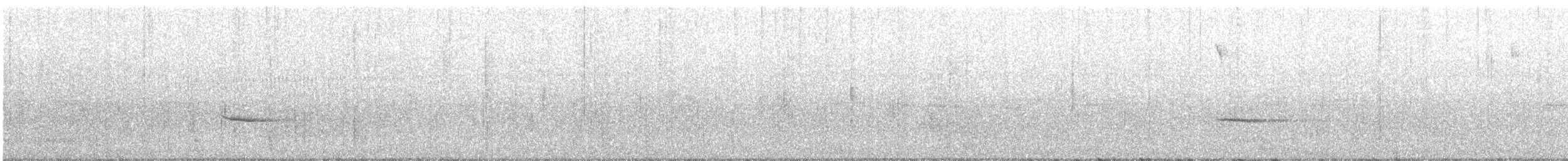 Hermit Thrush - ML610570056