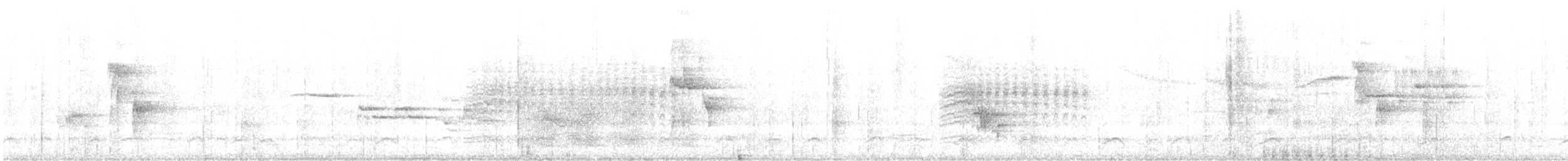 Дрізд коста-риканський - ML610573552