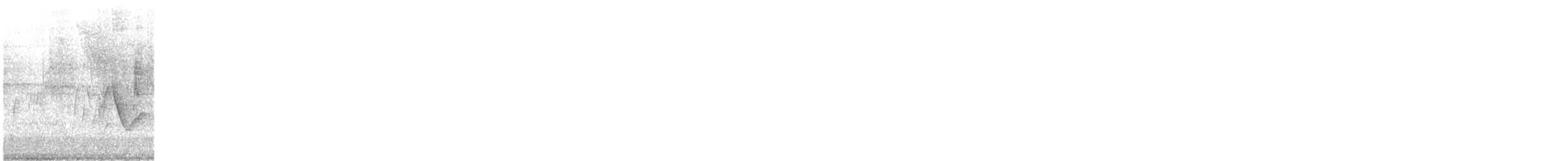 Віреон коста-риканський - ML610573837