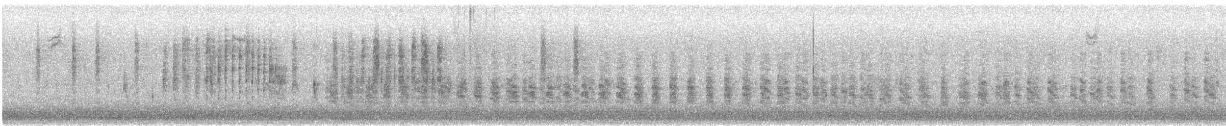 Ridgwayralle (obsoletus) - ML610575913