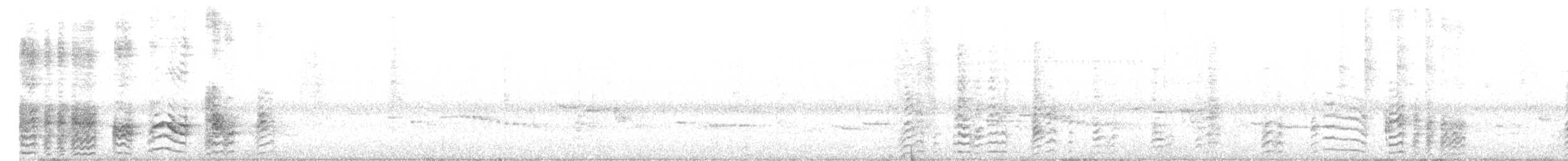 Perico de la Isla Norfolk - ML610580675