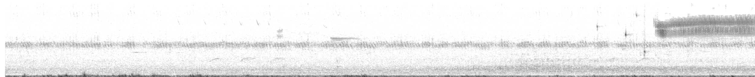 イナゴヒメドリ - ML61058081