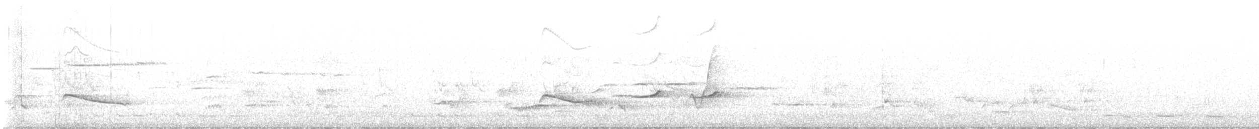 Дідрик смугастощокий (підвид plagosus) - ML610582042