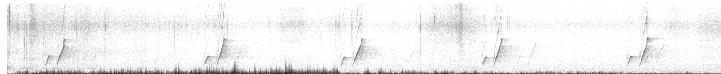 Curve-billed Thrasher - ML610587815