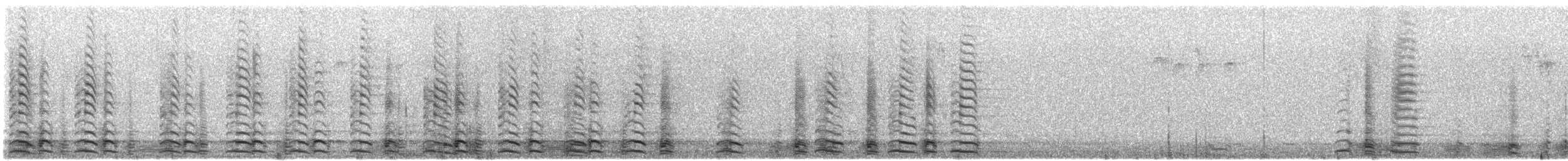 Canada Goose - ML610589409