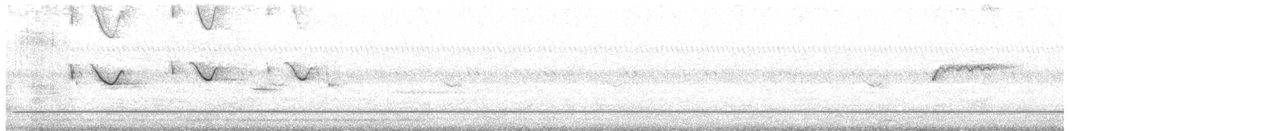 Spot-tailed Nightjar - ML610590689
