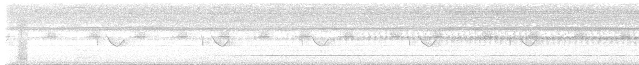 Spot-tailed Nightjar - ML610591920