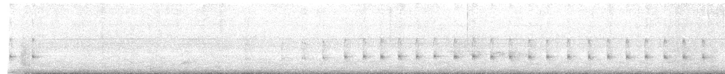 Microtyran oreillard - ML610598209