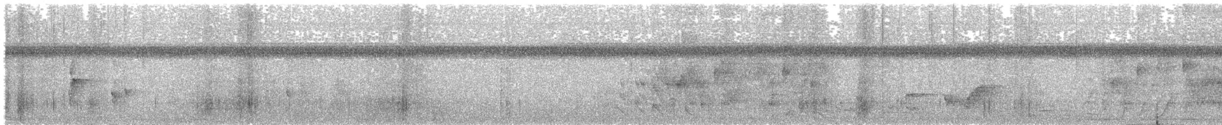 Tejedor Cuellinegro (brachypterus) - ML610598782