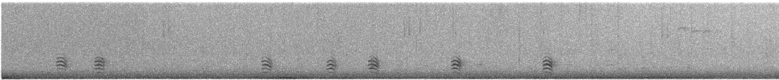 White-breasted Nuthatch - ML610602567