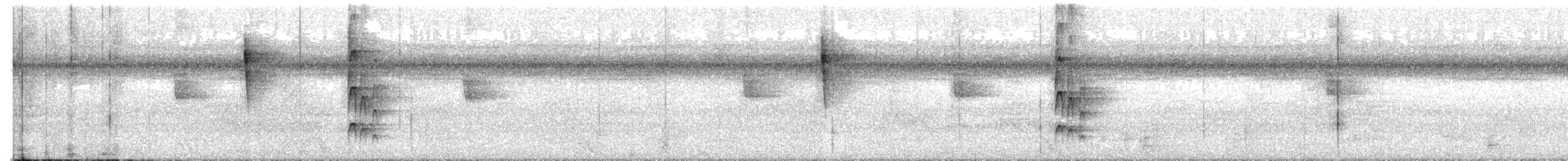 Kurzschwanz-Spatelschnabeltyrann - ML610603726