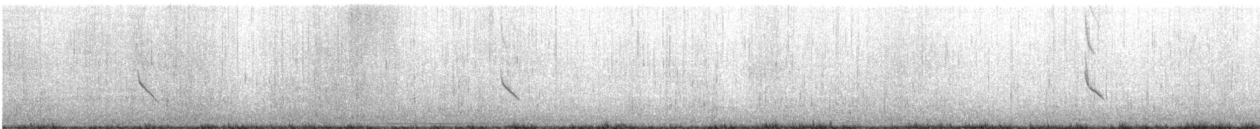 snøspurv - ML610605471