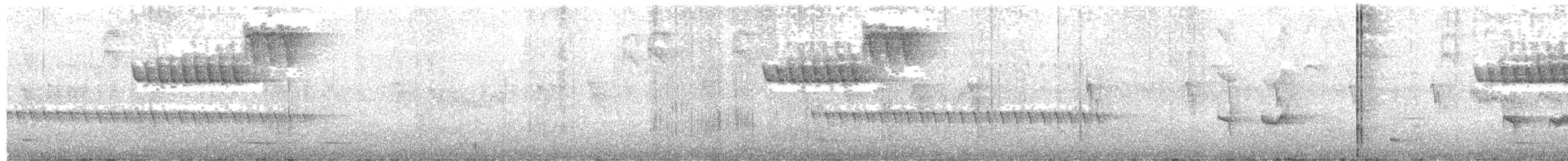 Sporophile de Temminck - ML610610699