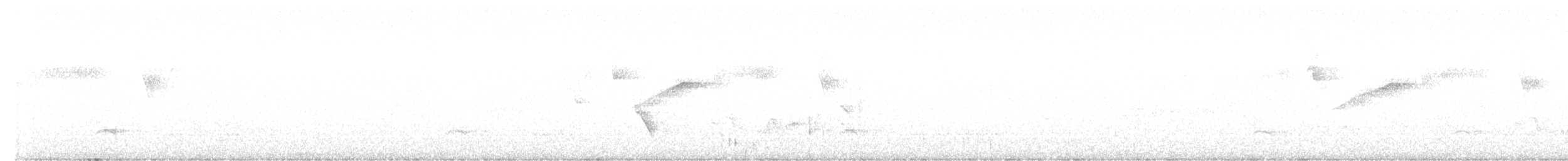 Tinamou à pieds rouges - ML610612899