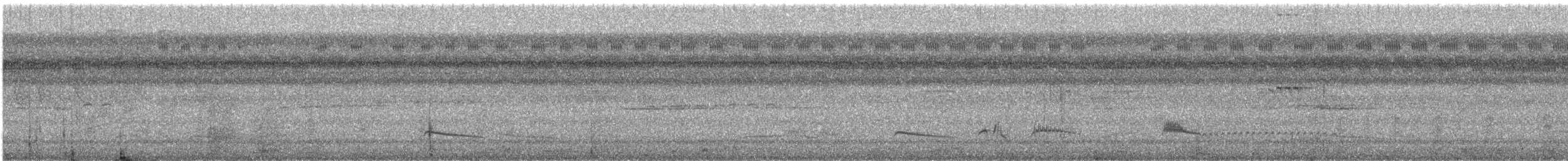 Copetón de Swainson - ML610621937