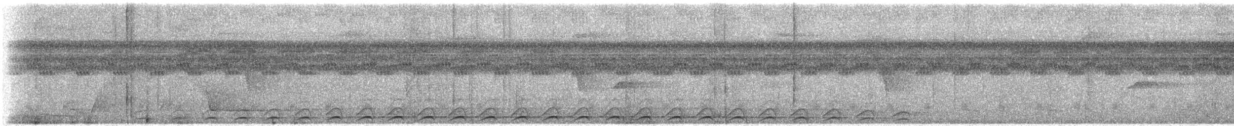 Black-tailed Trogon - ML610629144
