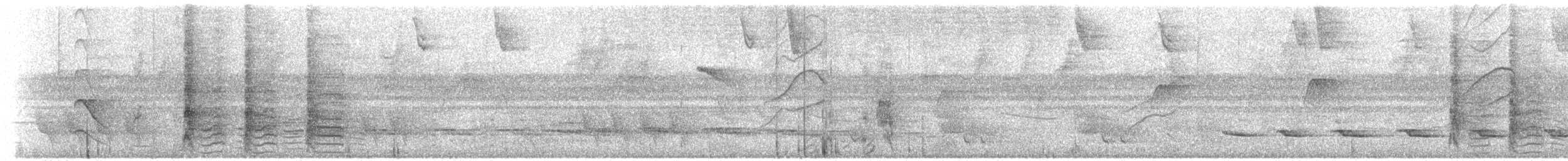 Caïque à queue courte - ML610629360