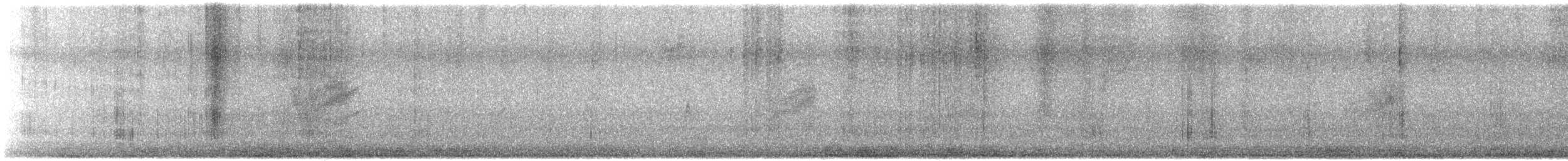 Тауї плямистий - ML610634024