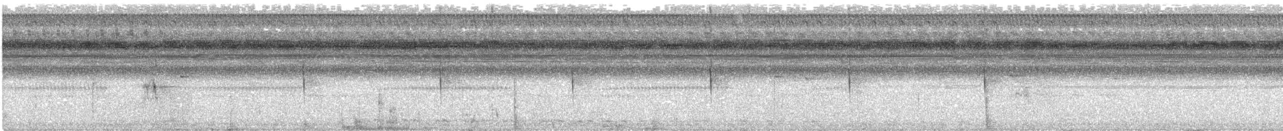 Ladder-tailed Nightjar - ML610638239