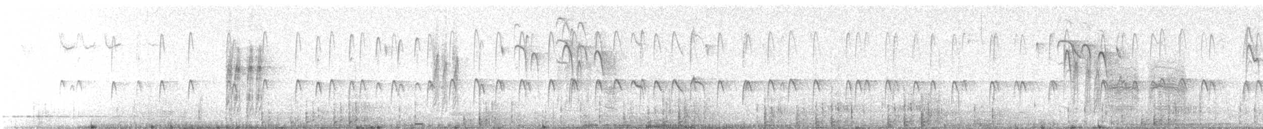 pygméspettmeis - ML610639470