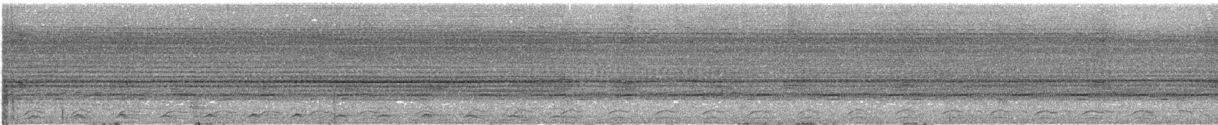 Black-tailed Trogon (Black-tailed) - ML610640889