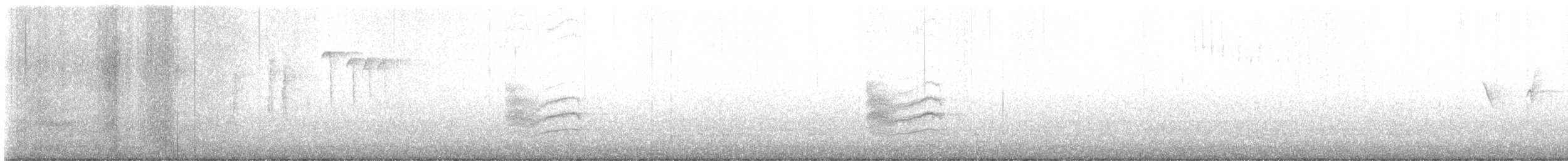 Тауї плямистий - ML610642020