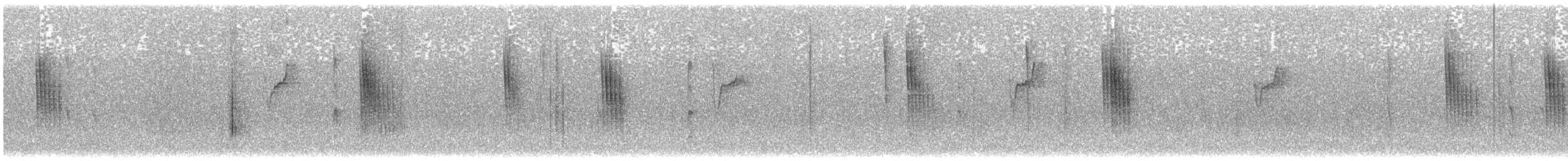 ruststjertmeis (bonvaloti/obscuratus) (skjeggstjertmeis) - ML610647280