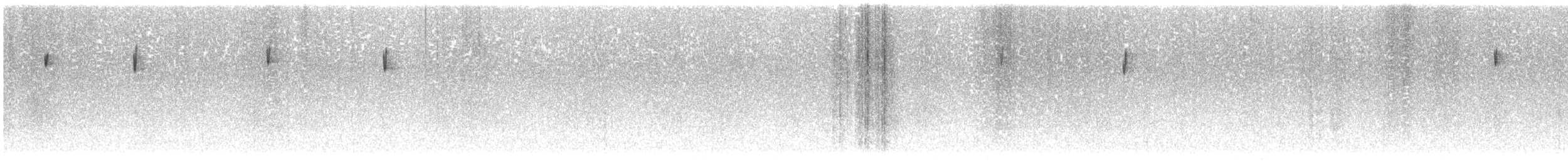 Bandammer - ML610647796