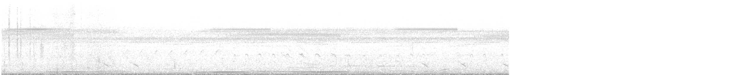 čejka jihoamerická (ssp. cayennensis) - ML610651110
