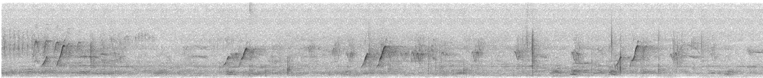 Krummschnabel-Spottdrossel - ML610661133