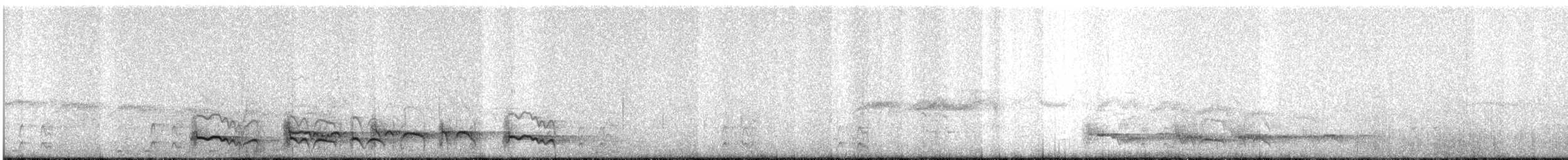 Лінивка-смугохвіст плямистобока - ML610661751